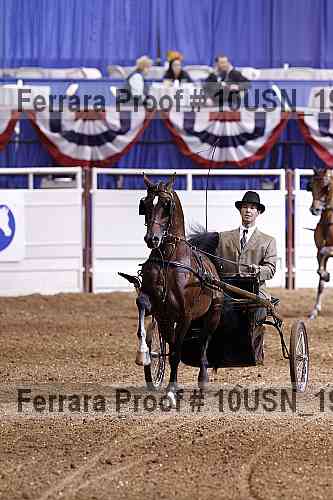 Proof 10usn_19763