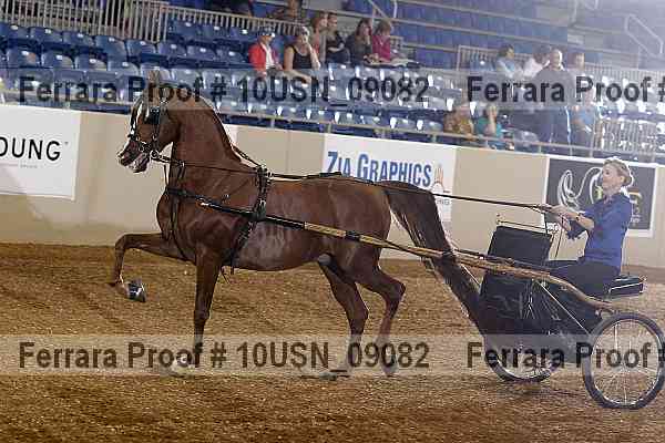 Proof 10usn_09082
