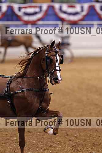 Proof 10usn_09084