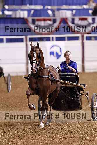 Proof 10usn_09089