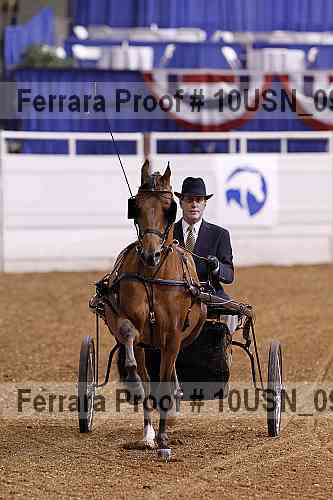 Proof 10usn_09096