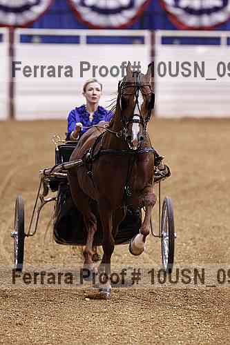 Proof 10usn_09098