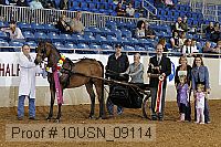 10usn_09114 proof