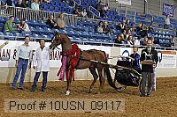 10usn_09117 proof