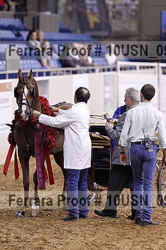 Proof 10usn_09119
