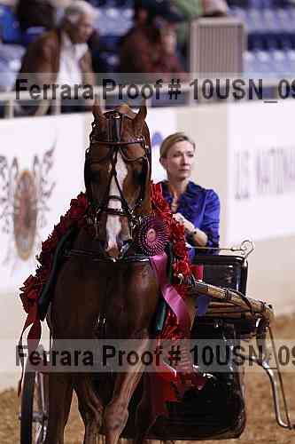 Proof 10usn_09120