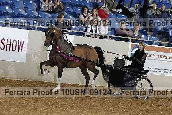 Proof 10usn_09124