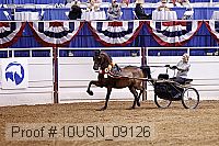 10usn_09126 proof
