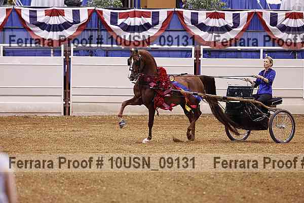 Proof 10usn_09131
