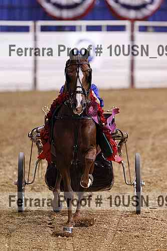 Proof 10usn_09134