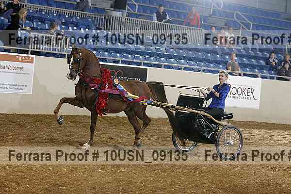 Proof 10usn_09135
