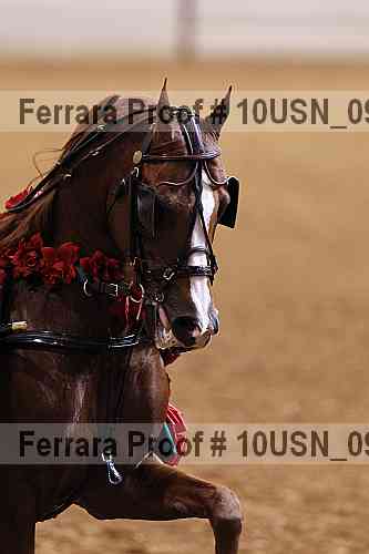Proof 10usn_09136