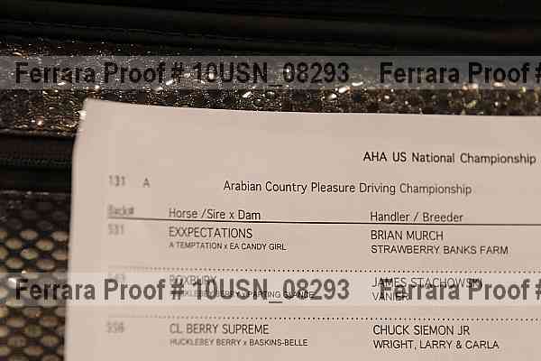 Proof 10usn_08293
