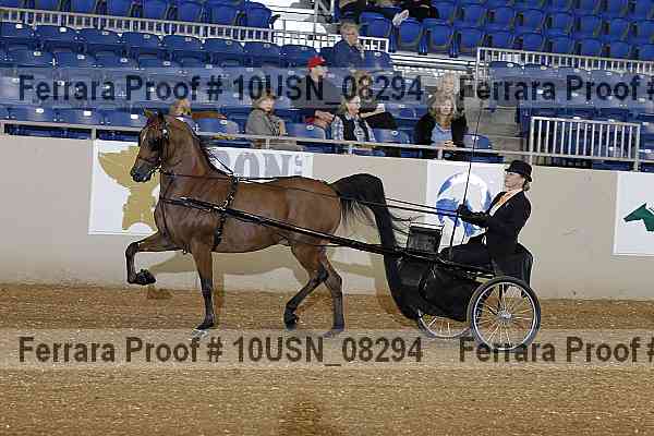 Proof 10usn_08294