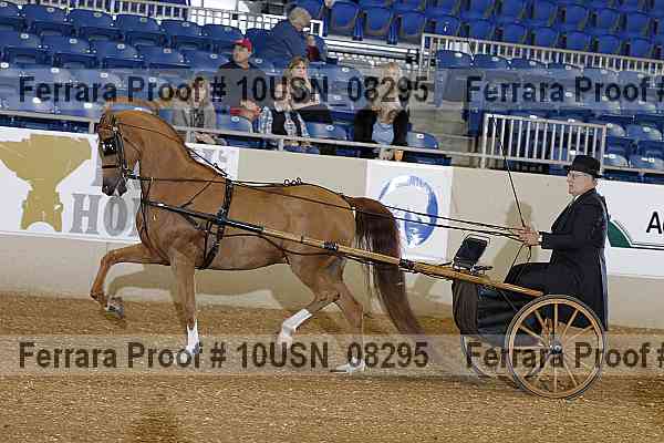 Proof 10usn_08295