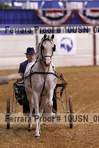 Proof 10usn_08299