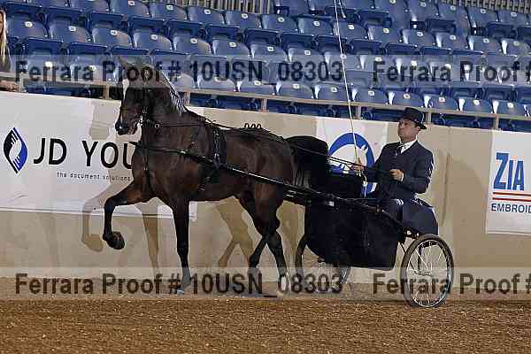 Proof 10usn_08303