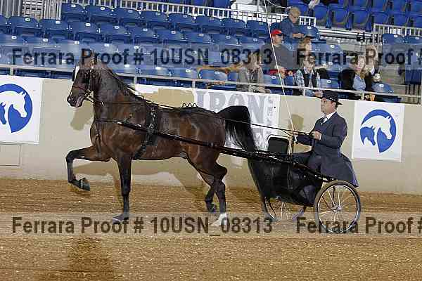 Proof 10usn_08313