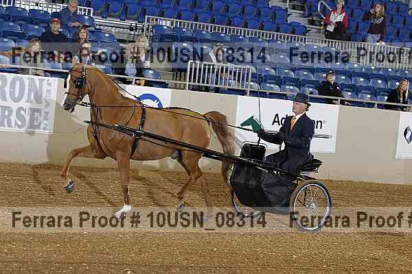 Proof 10usn_08314