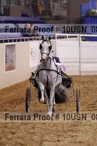 Proof 10usn_08329