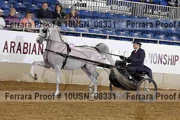 Proof 10usn_08331