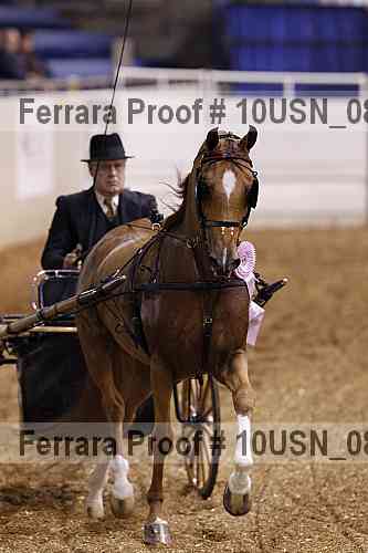Proof 10usn_08334