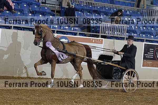 Proof 10usn_08335