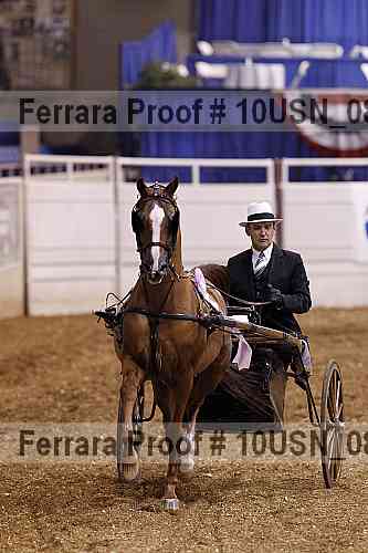 Proof 10usn_08340