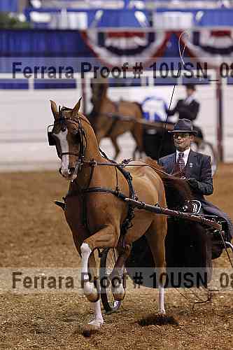 Proof 10usn_08352