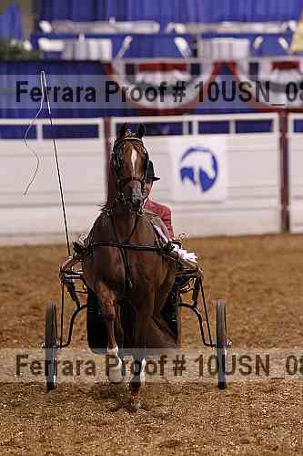 Proof 10usn_08353