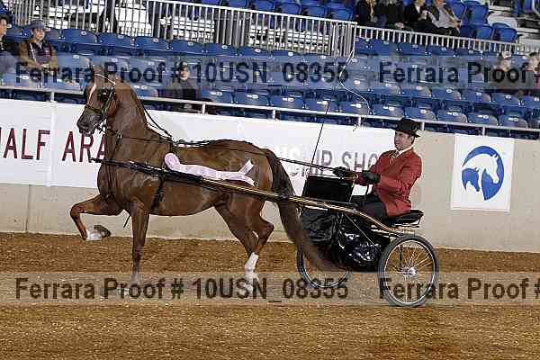 Proof 10usn_08355