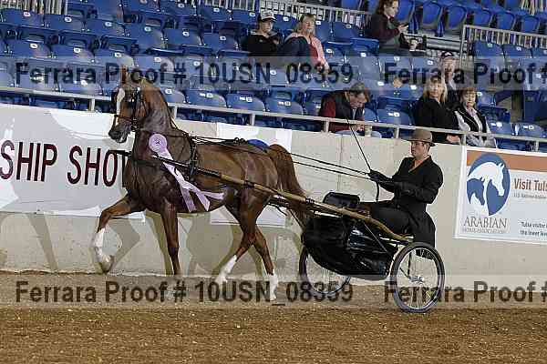 Proof 10usn_08359