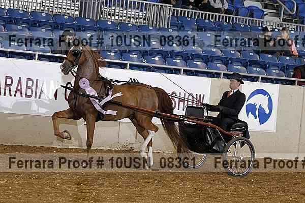 Proof 10usn_08361