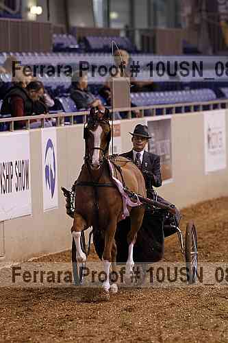 Proof 10usn_08362