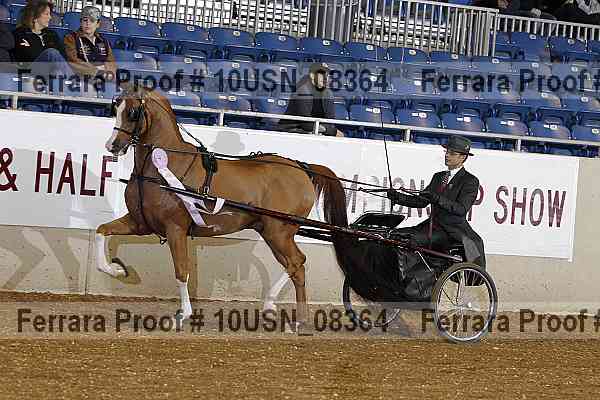 Proof 10usn_08364