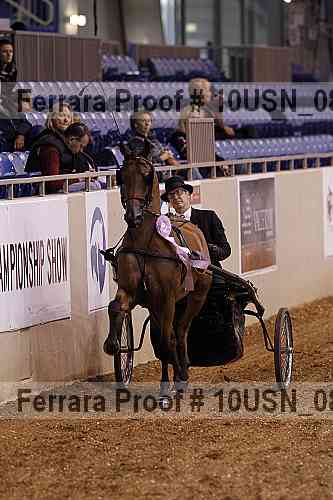 Proof 10usn_08365