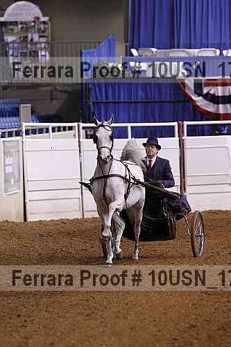 Proof 10usn_17059