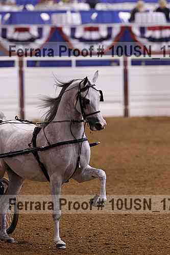 Proof 10usn_17062