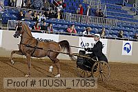 10usn_17063 proof