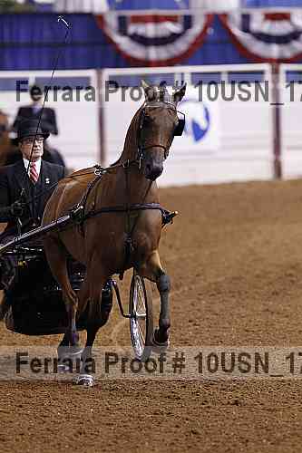 Proof 10usn_17065