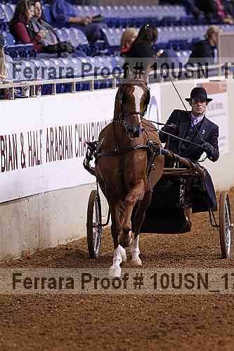 Proof 10usn_17067