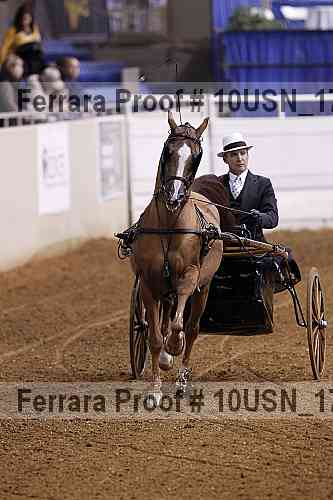 Proof 10usn_17069
