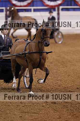 Proof 10usn_17072