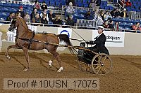 10usn_17075 proof