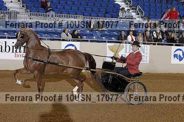 Proof 10usn_17077