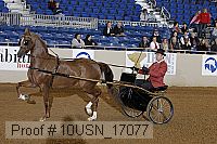 10usn_17077 proof