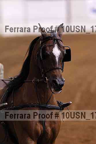 Proof 10usn_17078