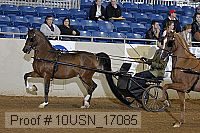 10usn_17085 proof