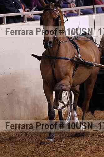 Proof 10usn_17088