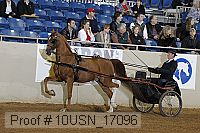 10usn_17096 proof